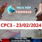 Đá gà thomo CPC3 23-02-2024